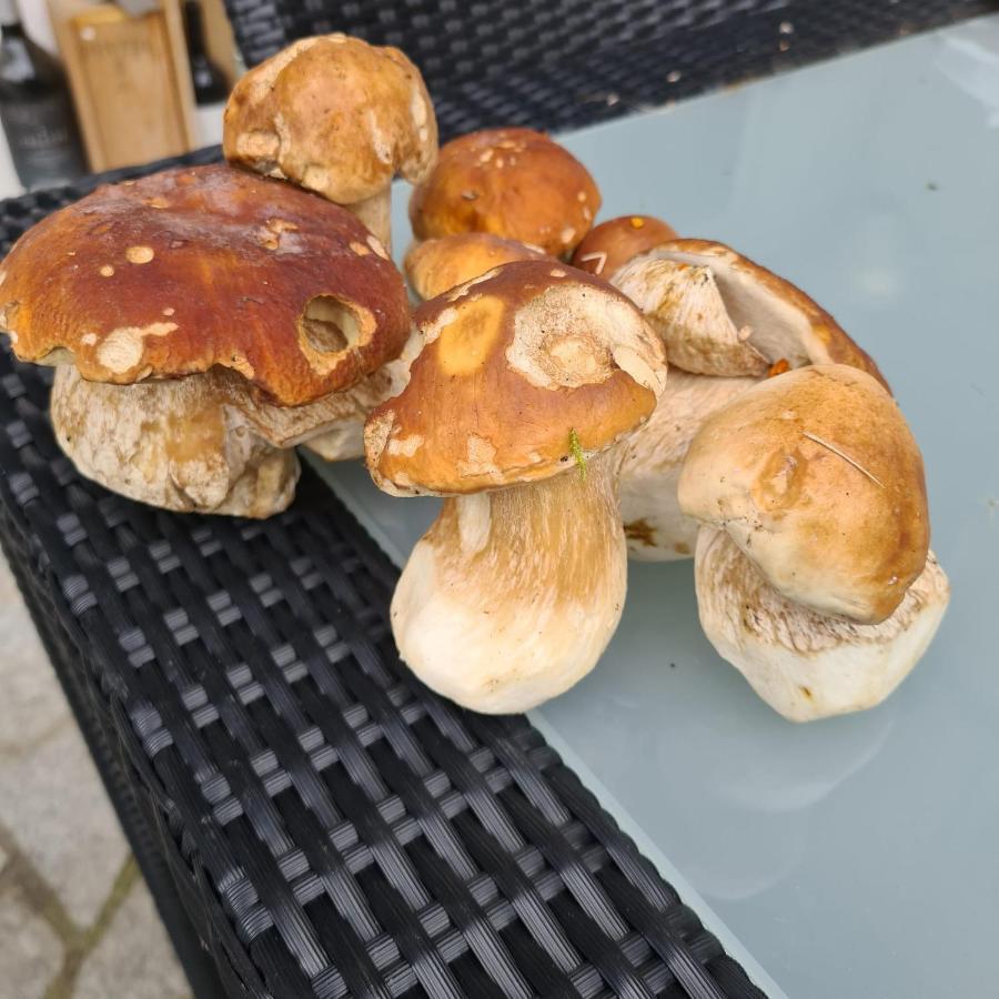 Chesa Prema Bed & Breakfast - Restaurant Disentis Zewnętrze zdjęcie